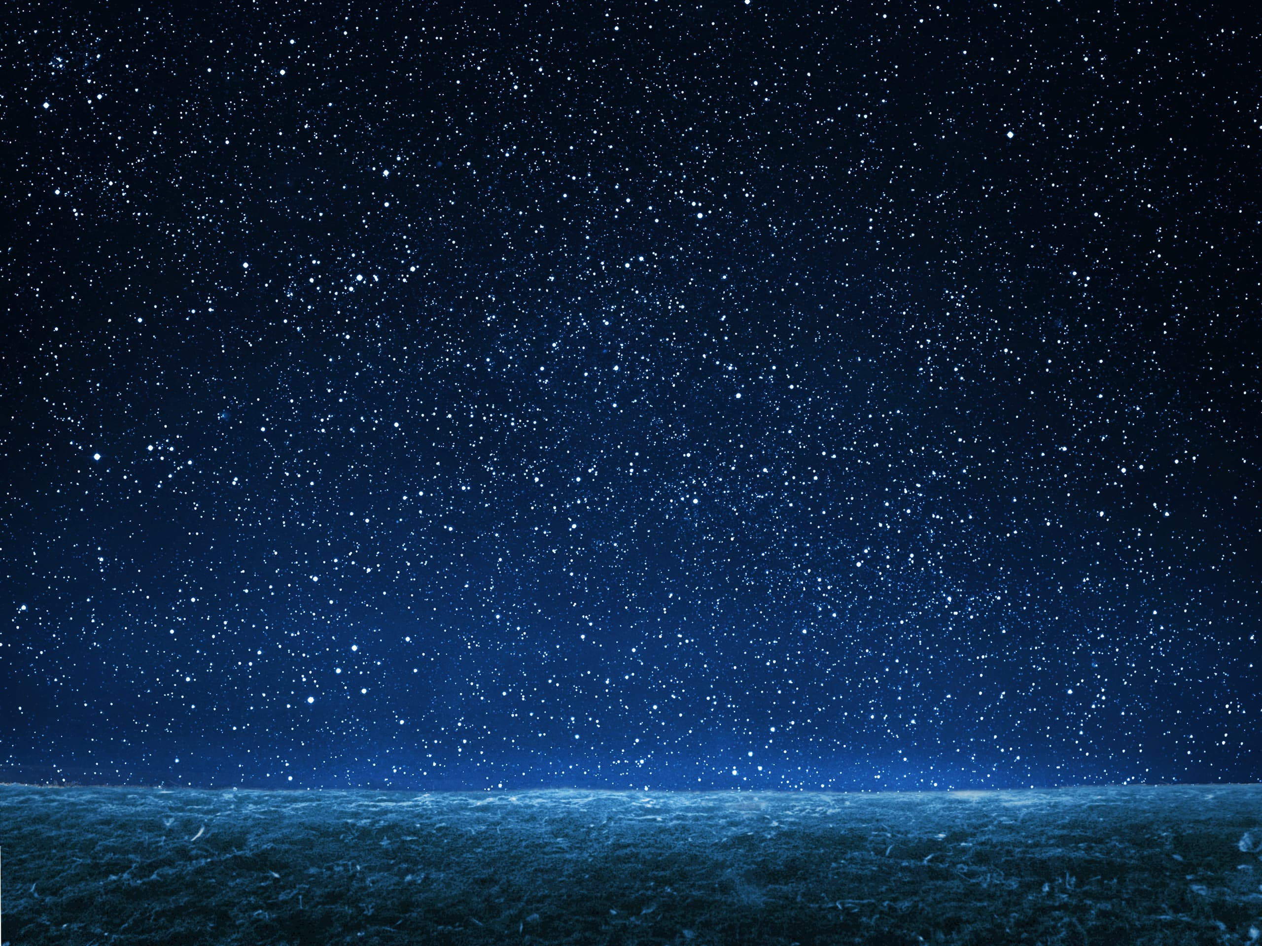 23670119_l.jpg