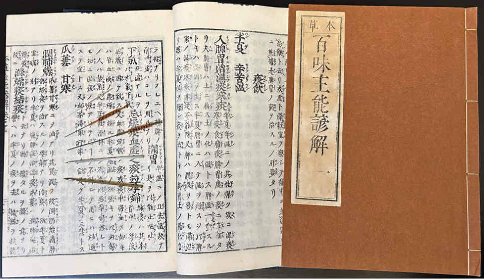 鍼灸　教科書 図解 いちばんわかる! 東洋医学のきほん帳 | 伊藤 剛 |本 | 通販